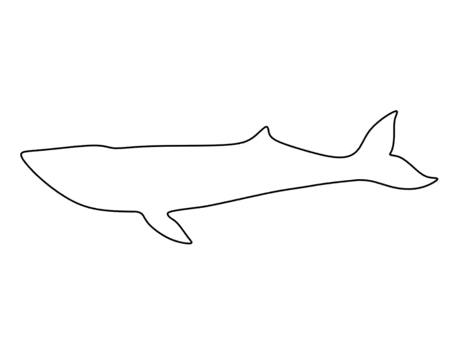 Blue Whale Coloring Pdf Free Vectors